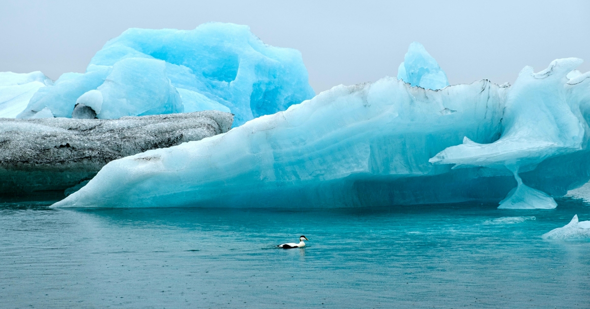 ✈️🇨🇦 Flight Deals from $199 + Icelandair Contest & Airline Promos!