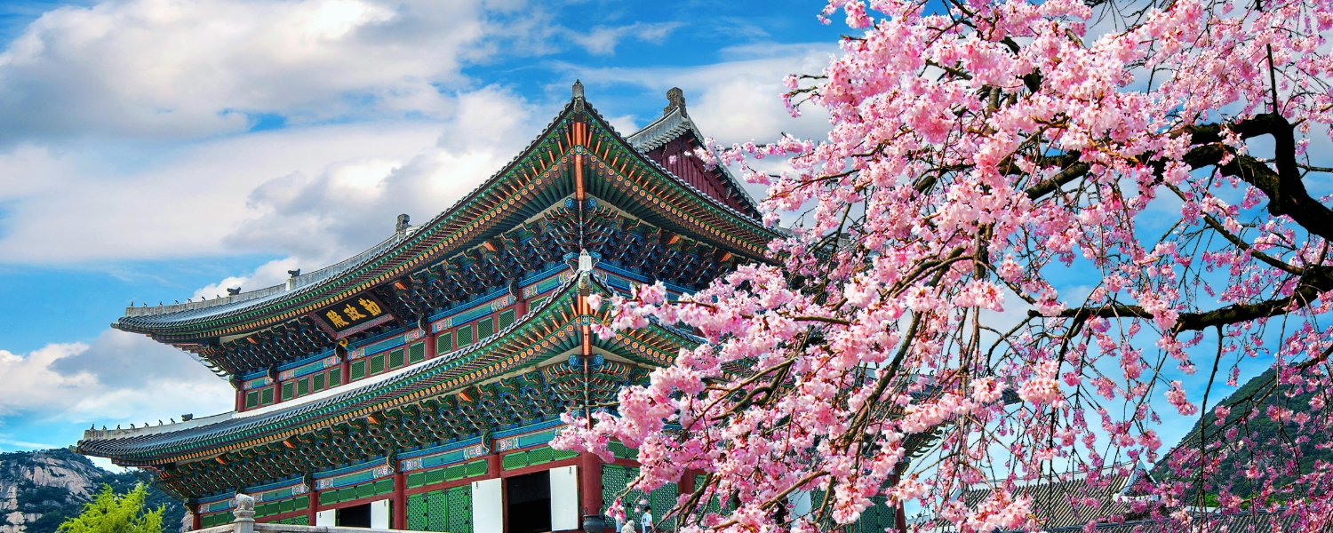 How to Get to Seoul from Canada: Every Route Explained