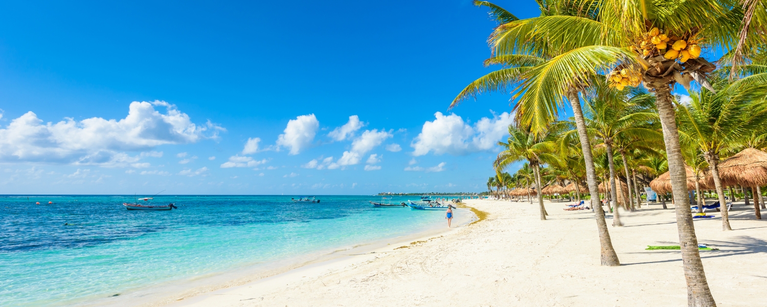 Porter Airlines x Air Transat vacation package