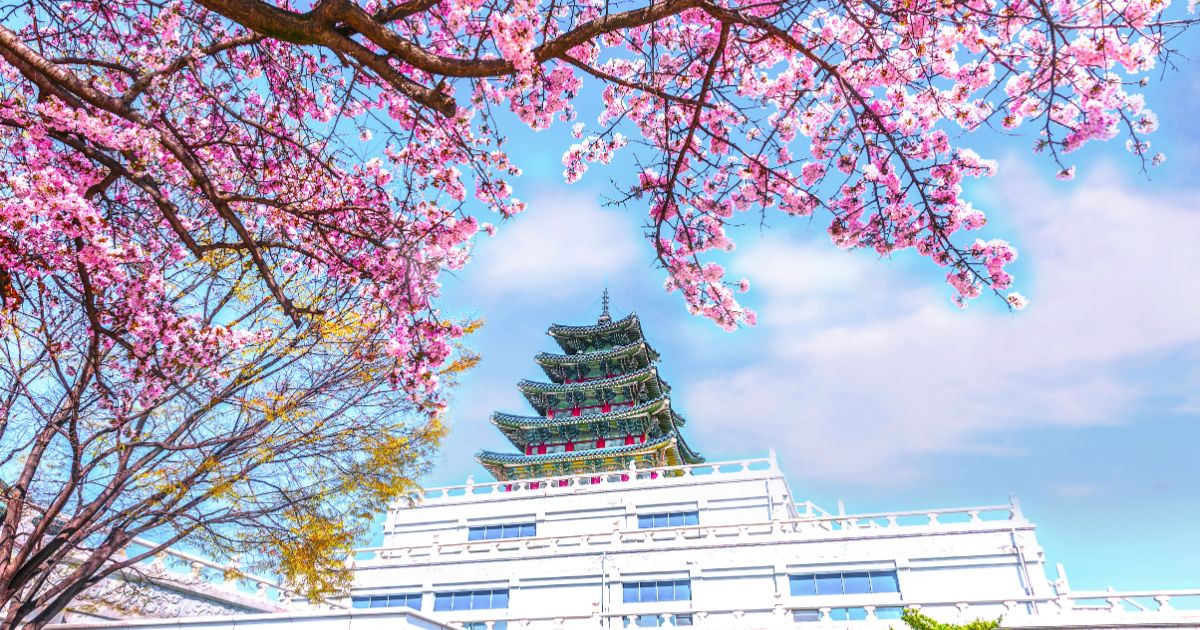 ✈️🇨🇦 Flights from $359 plus fresh blog posts and Canadian airline promo codes