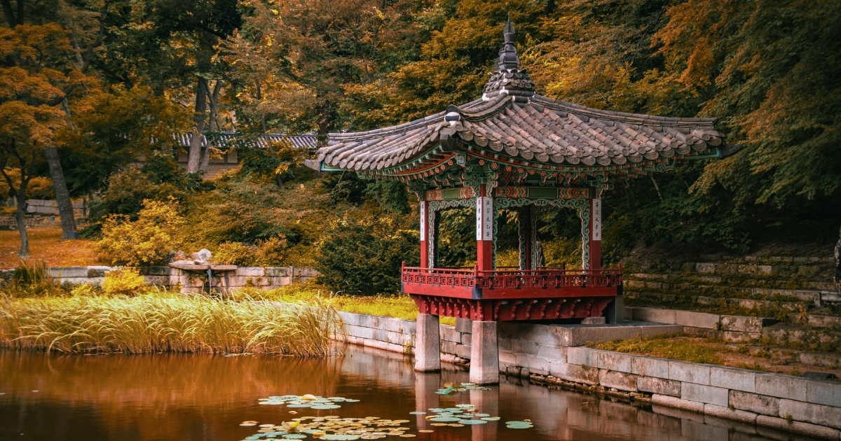 ✈️🇨🇦 Flights from $243 plus WestJet travel advisory and Air Canada Basic Premium fares