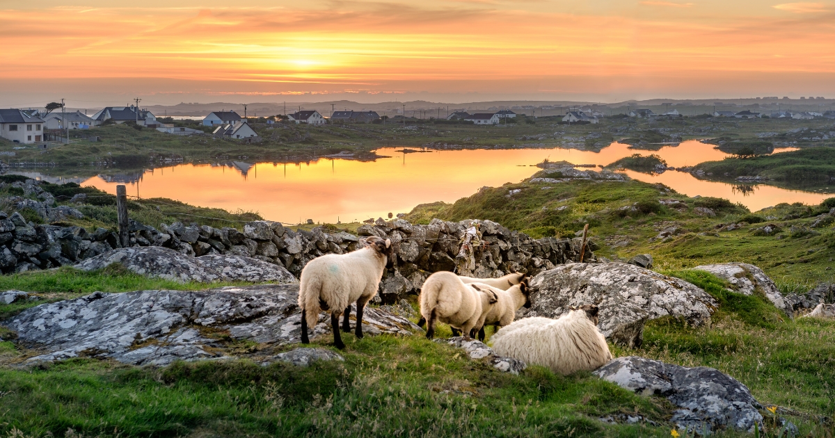 ✈️🇨🇦 Flight Deals from $258 + Icelandair Sale, Porter Routes & Vacation Packages!
